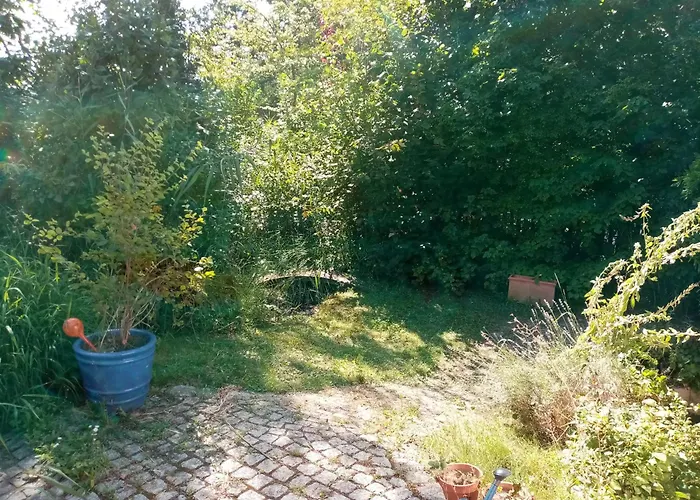 Haus Vogelparadies Homestay
