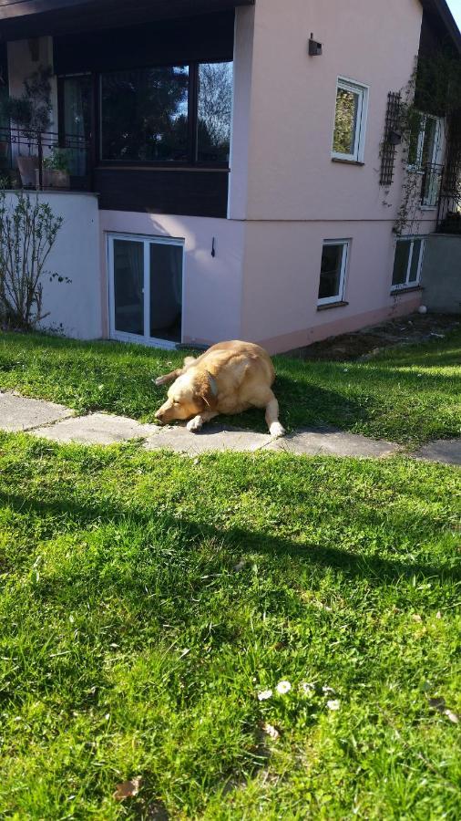 Haus Vogelparadies Homestay